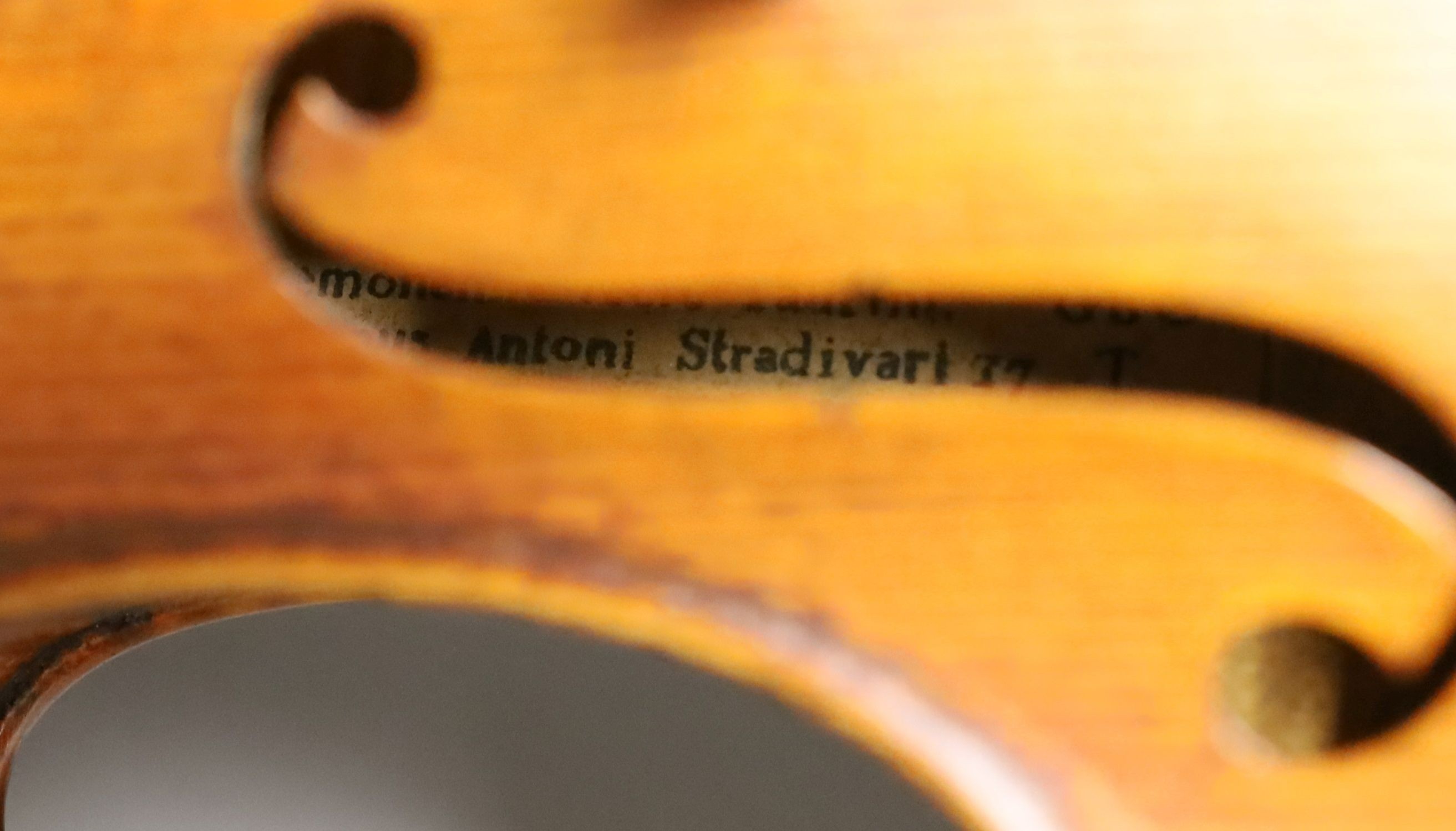 A 19th century violin labelled JB Guadagnini, back measures 35cm, with two bows, one silver-mounted.